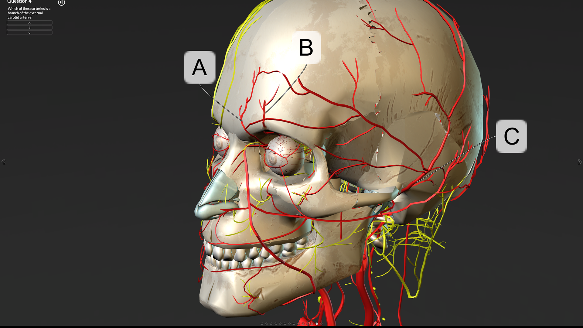 Gale Interactive: Human Anatomy platform.